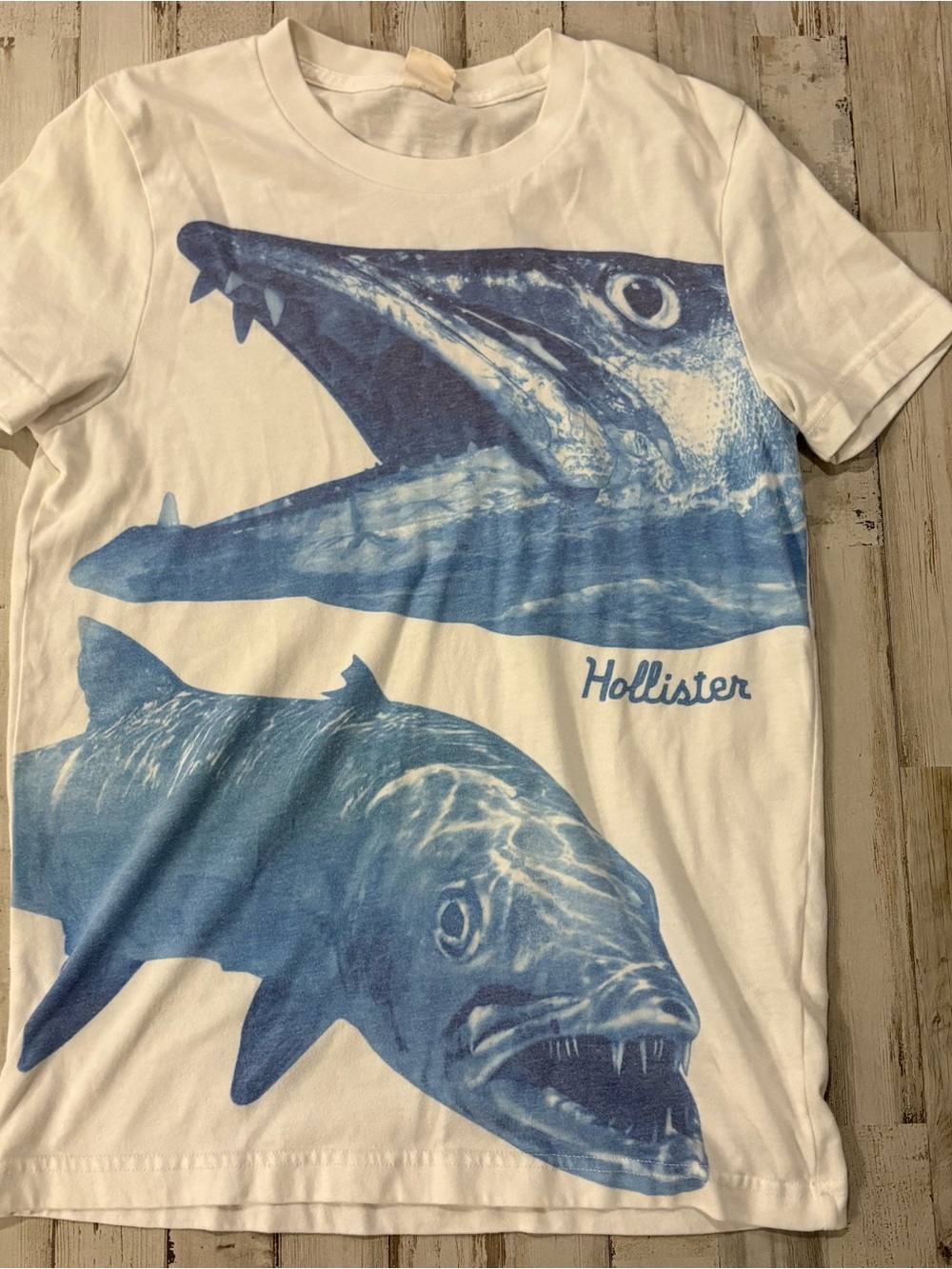 Hollister Barracuda Fish T-shirt Small